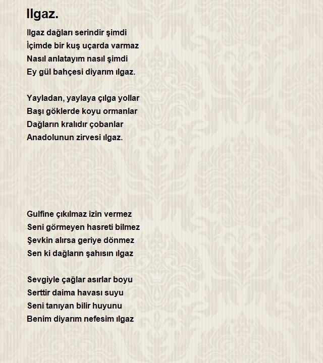 Mustafa Yaman 2