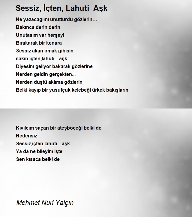 Mehmet Nuri Yalçın