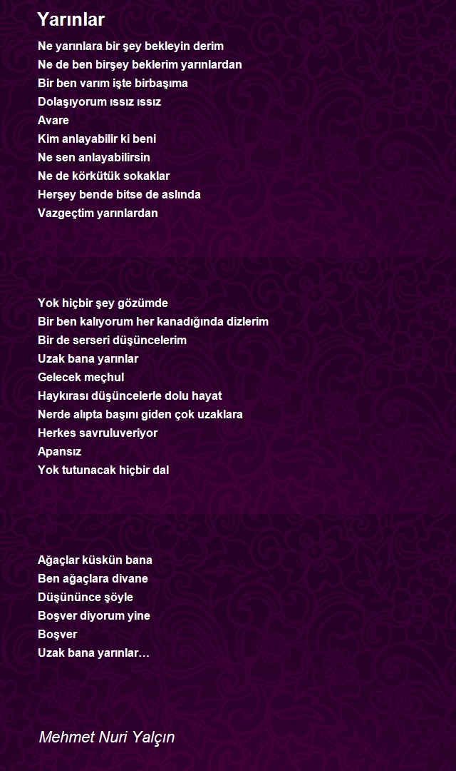 Mehmet Nuri Yalçın