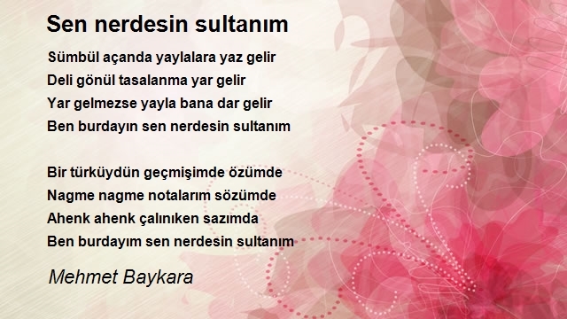 Mehmet Baykara