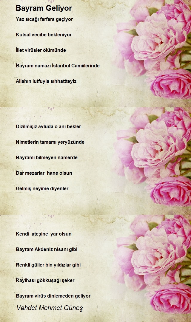 Vahdet Mehmet Güneş