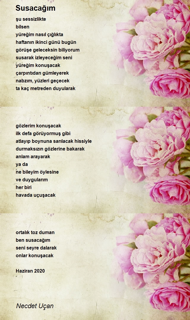 Necdet Uçan