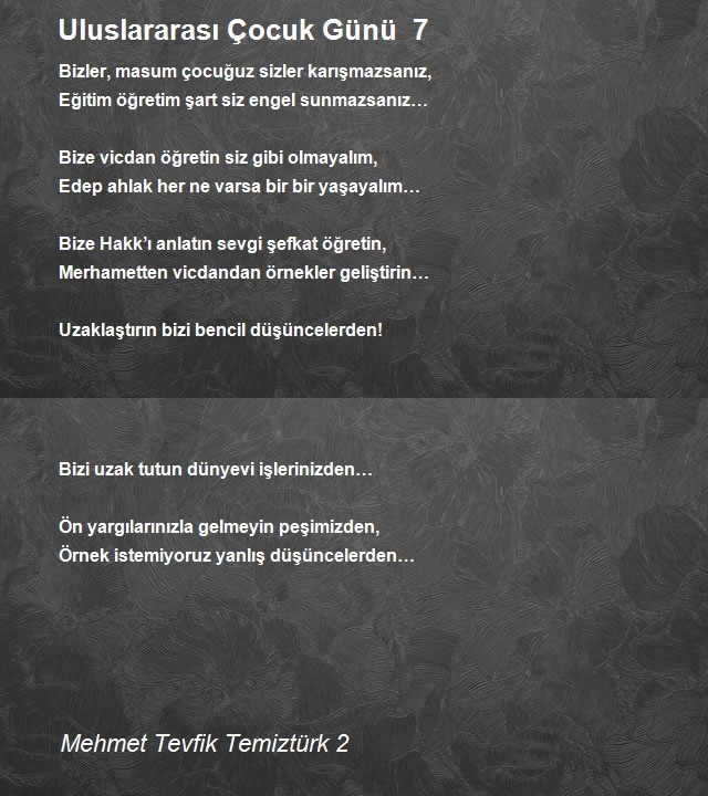 Mehmet Tevfik Temiztürk 2