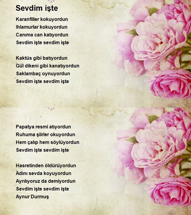 Aynur Durmuş