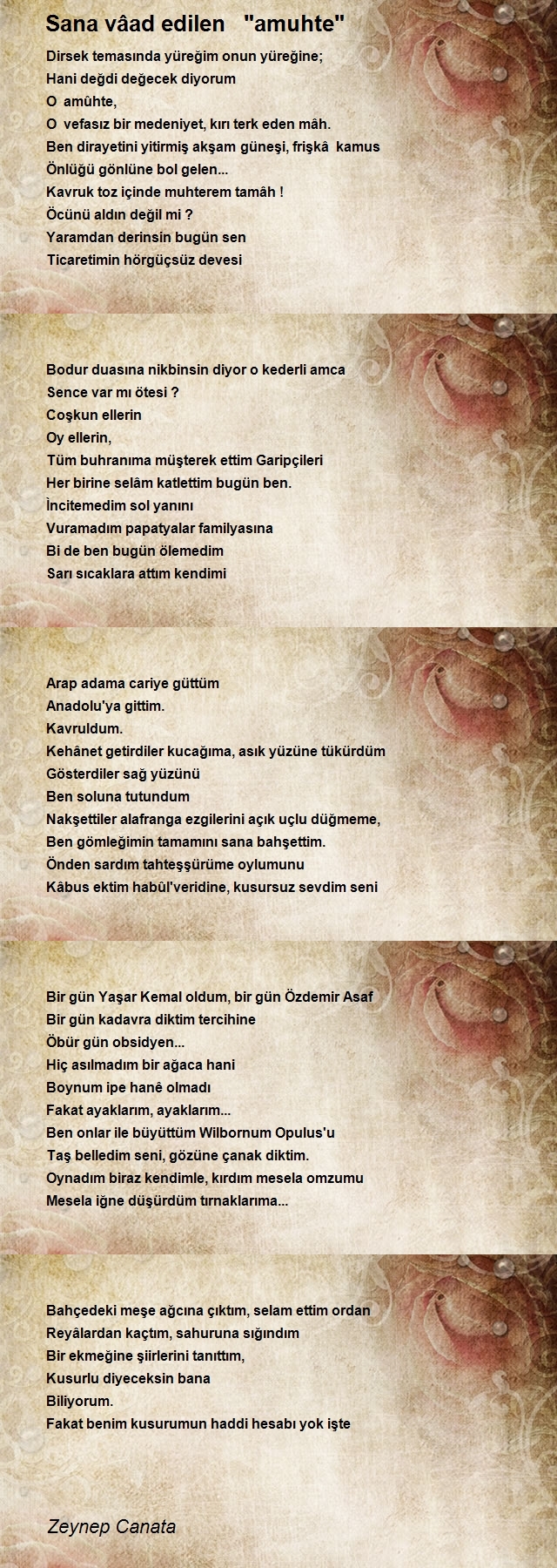 Zeynep Canata