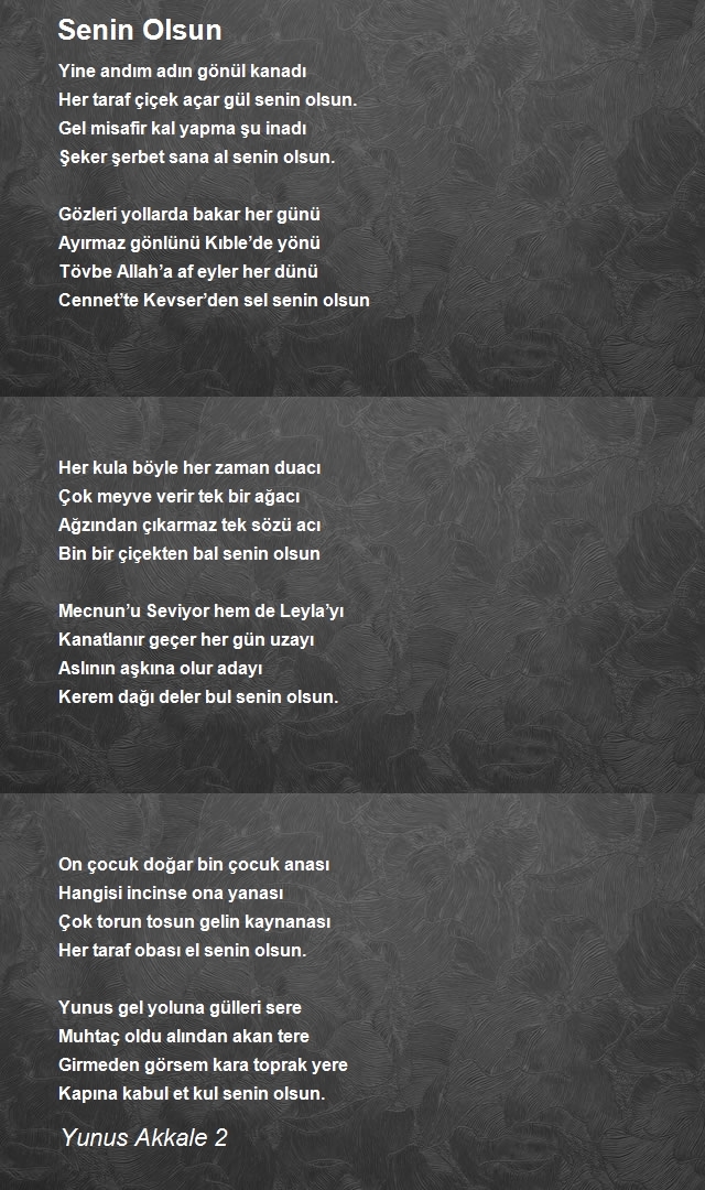 Yunus Akkale 2