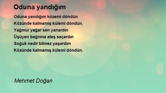 Mehmet Doğan