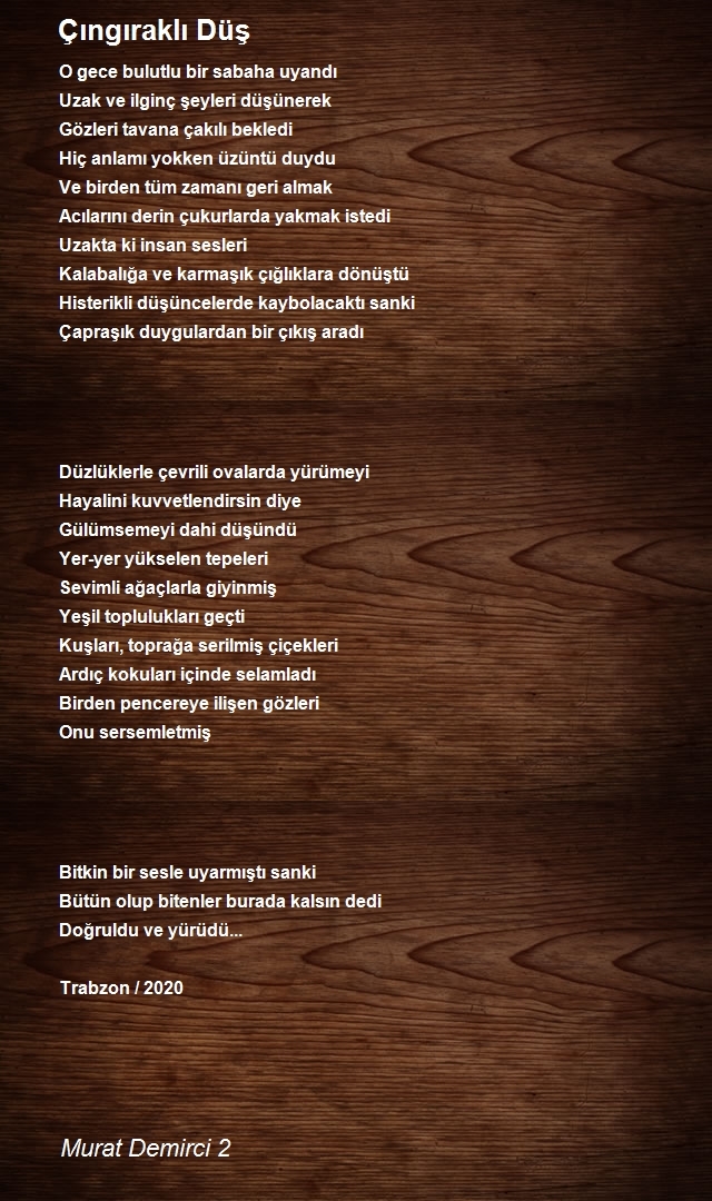 Murat Demirci 2