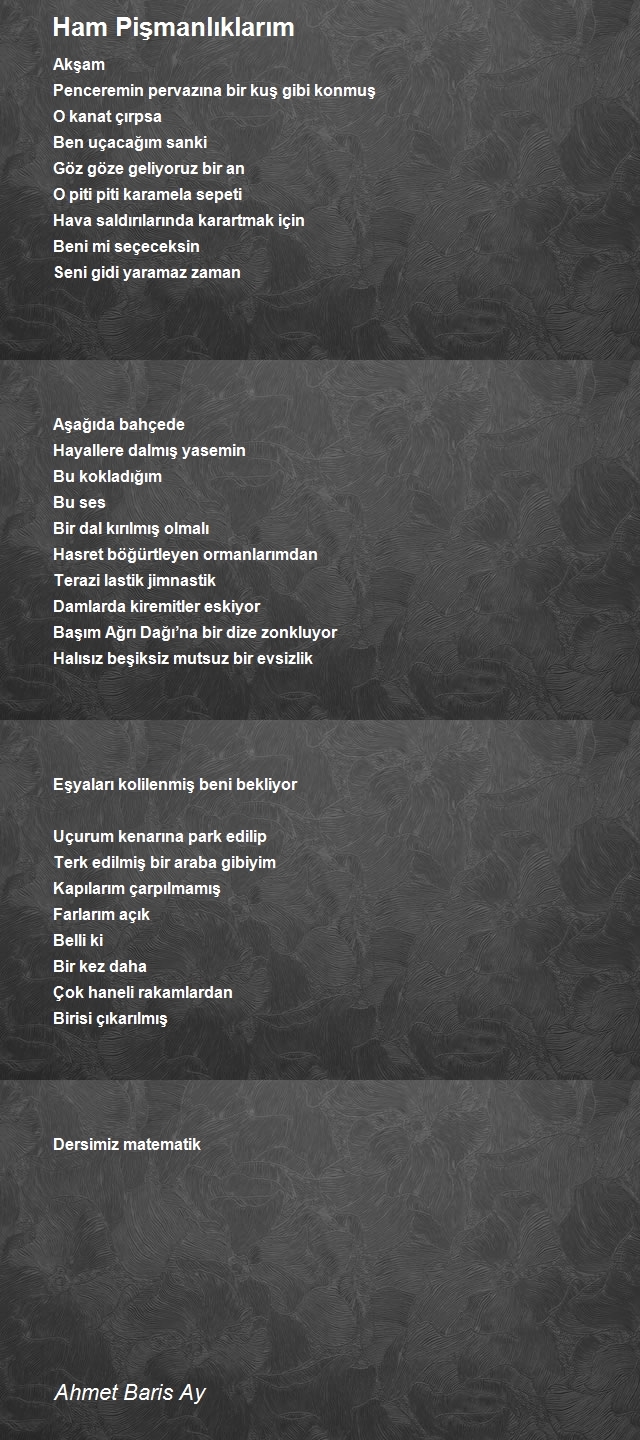 Ahmet Baris Ay