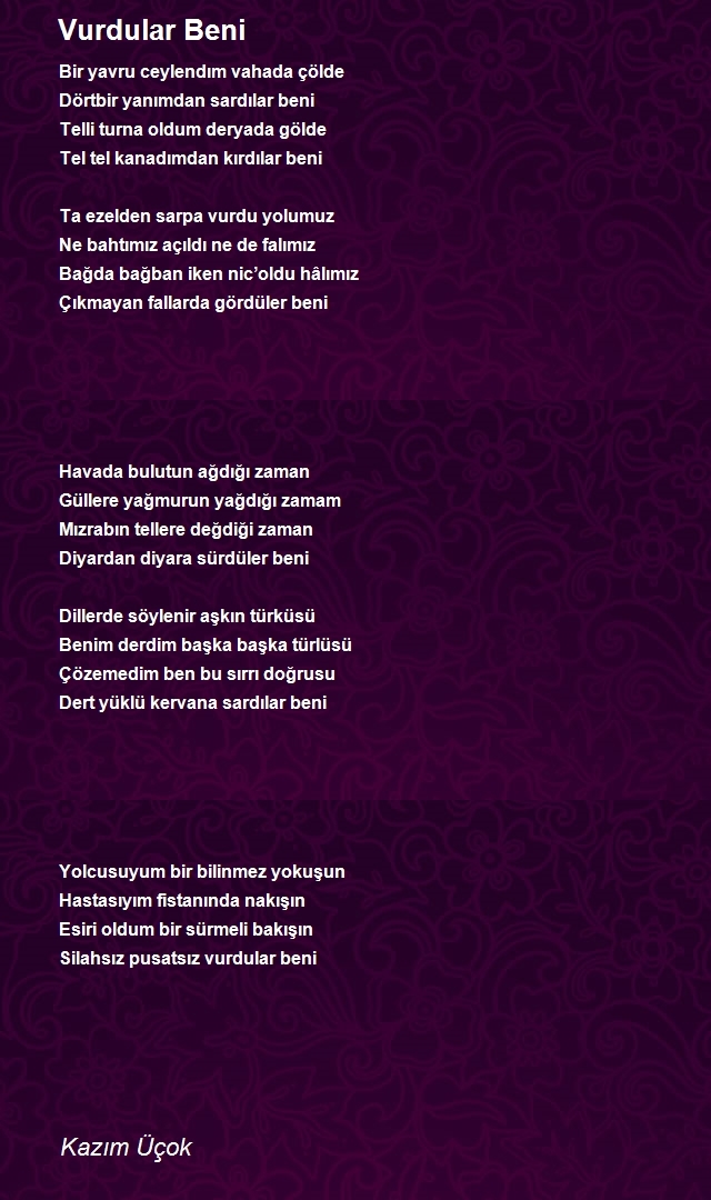 Kazım Üçok