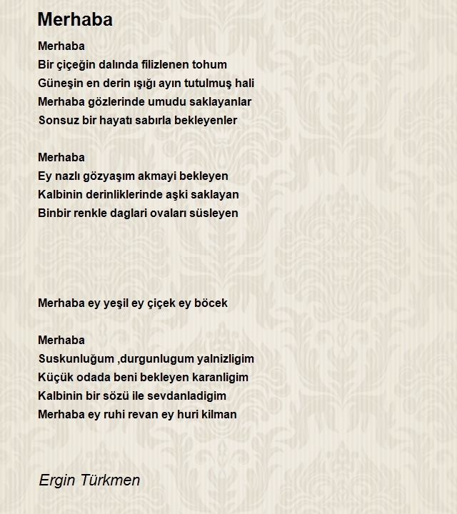 Ergin Türkmen