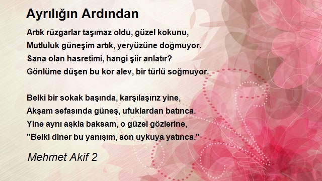 Mehmet Akif 2