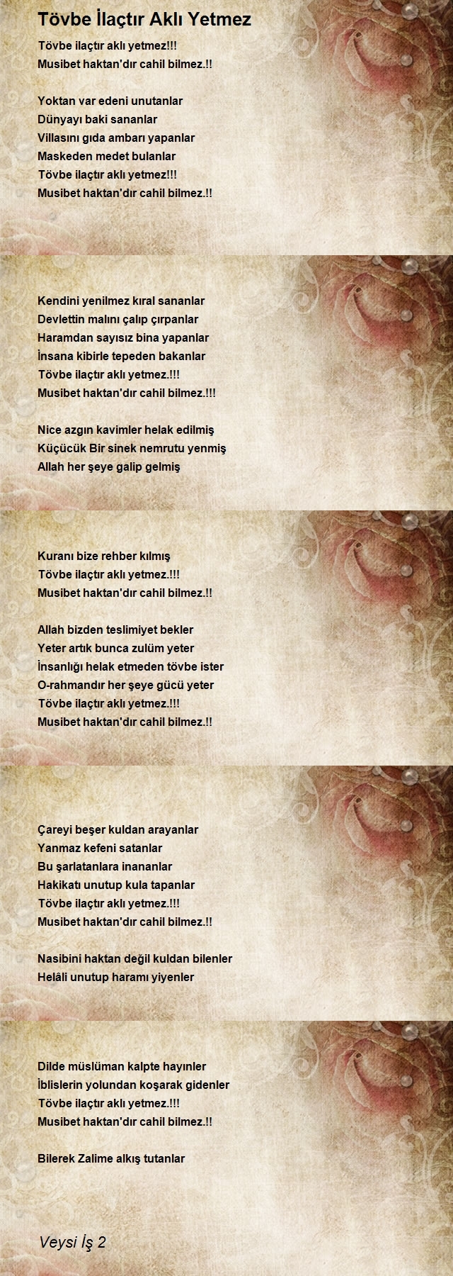 Veysi İş 2
