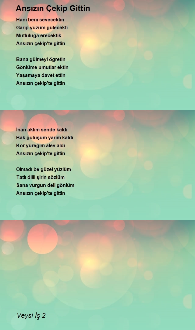 Veysi İş 2