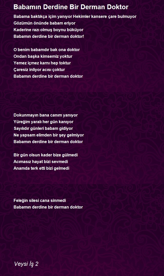 Veysi İş 2