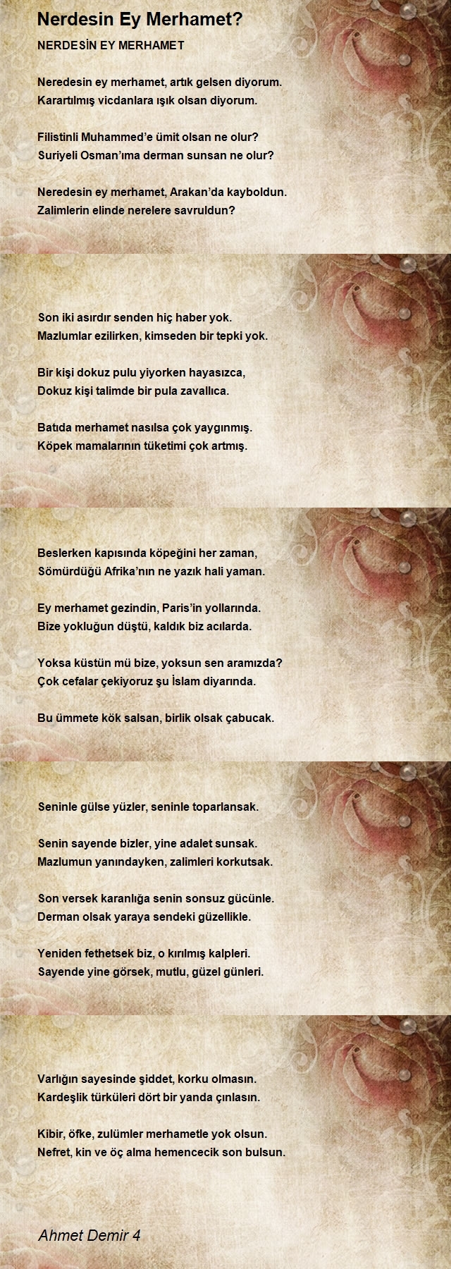 Ahmet Demir 4