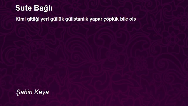 Şahin Kaya