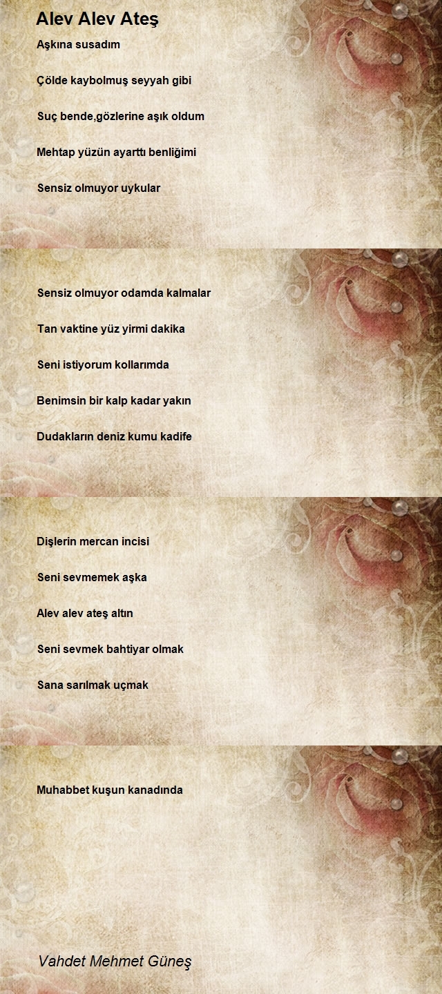Vahdet Mehmet Güneş