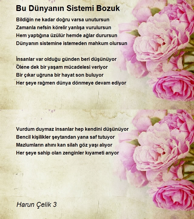 Harun Çelik 3