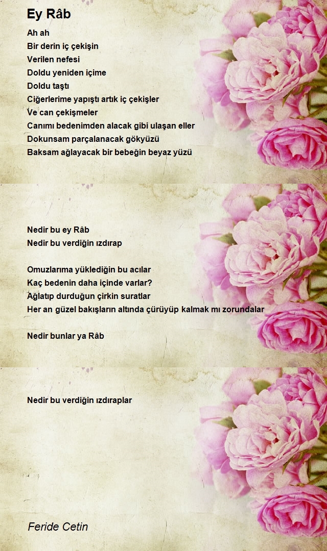 Feride Cetin