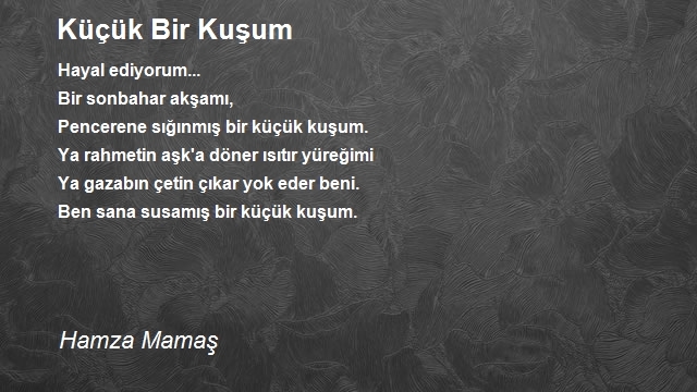 Hamza Mamaş