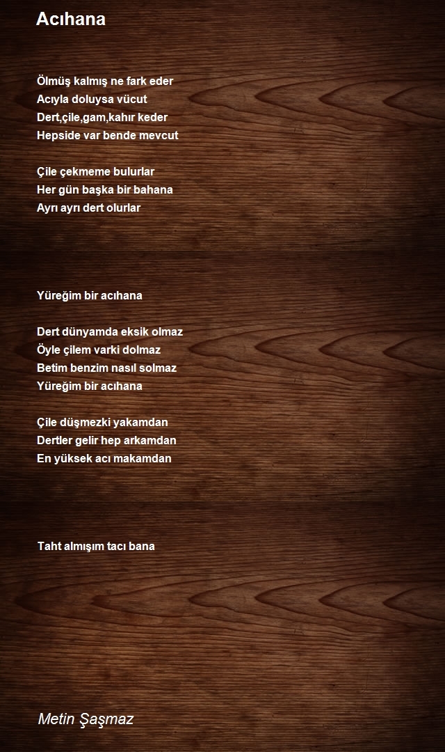Metin Şaşmaz
