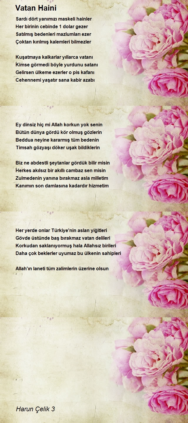 Harun Çelik 3
