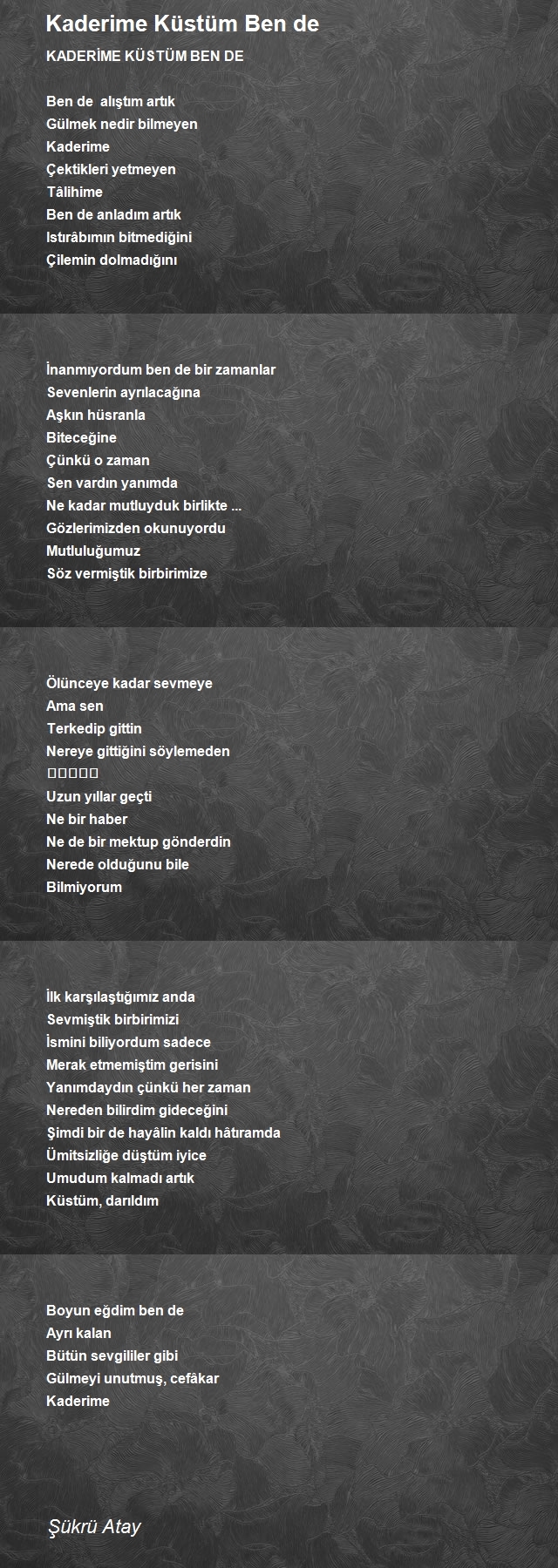 Şükrü Atay