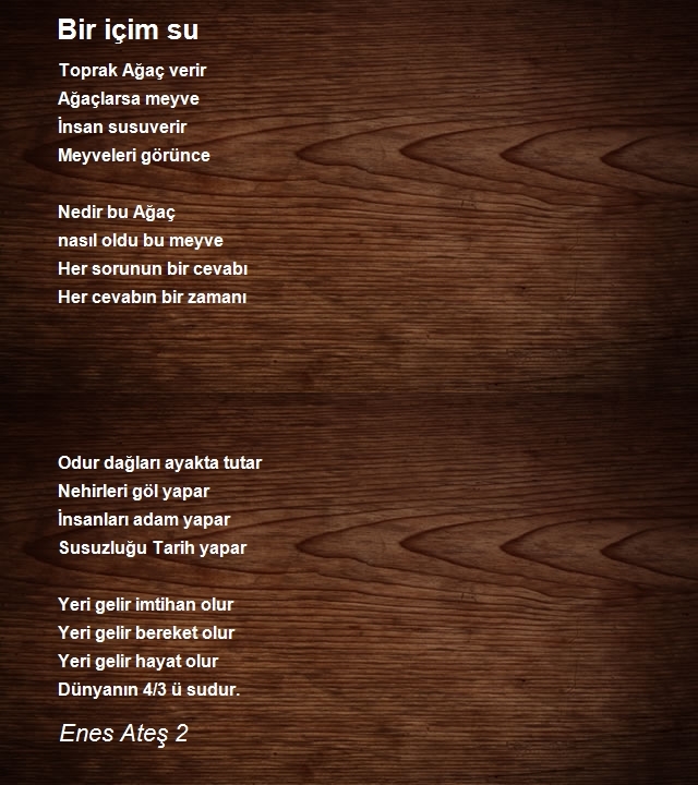 Enes Ateş 2