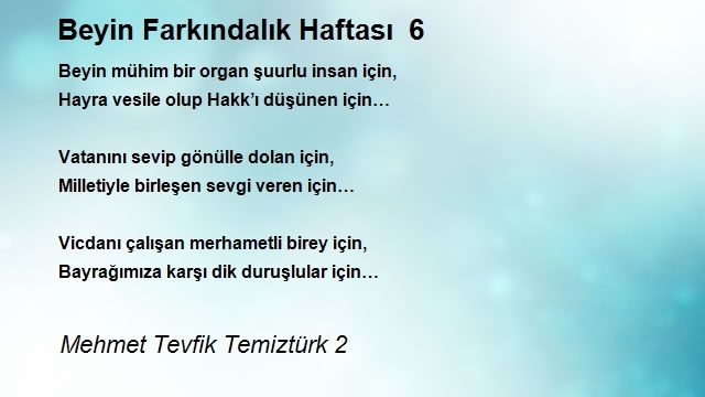 Mehmet Tevfik Temiztürk 2