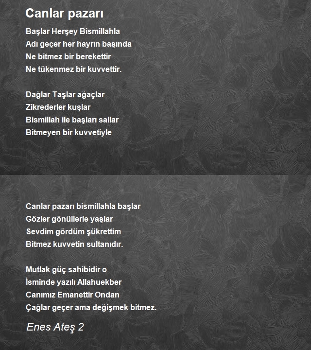 Enes Ateş 2