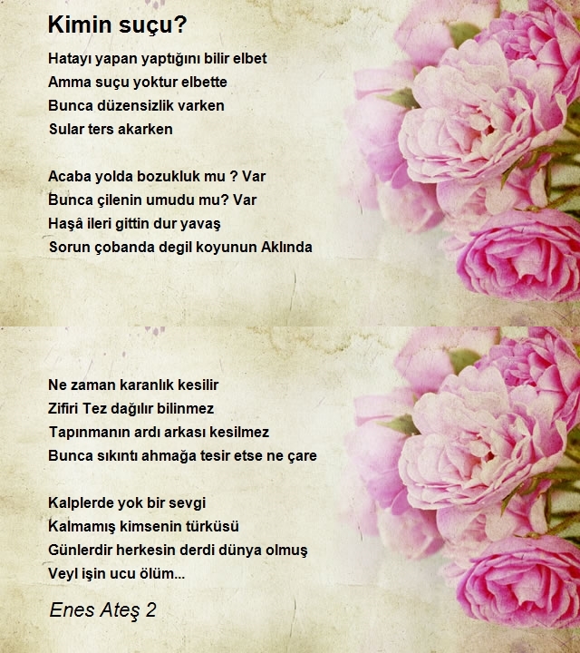 Enes Ateş 2
