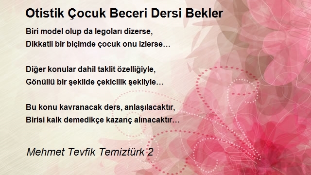Mehmet Tevfik Temiztürk 2