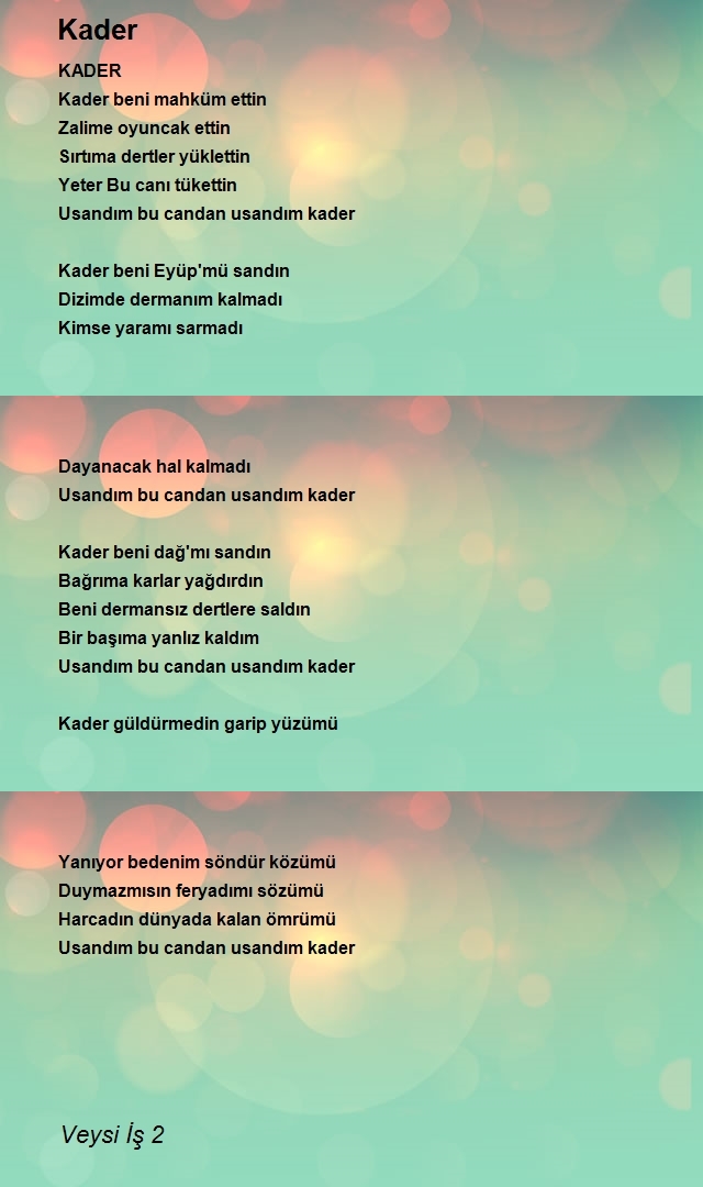 Veysi İş 2