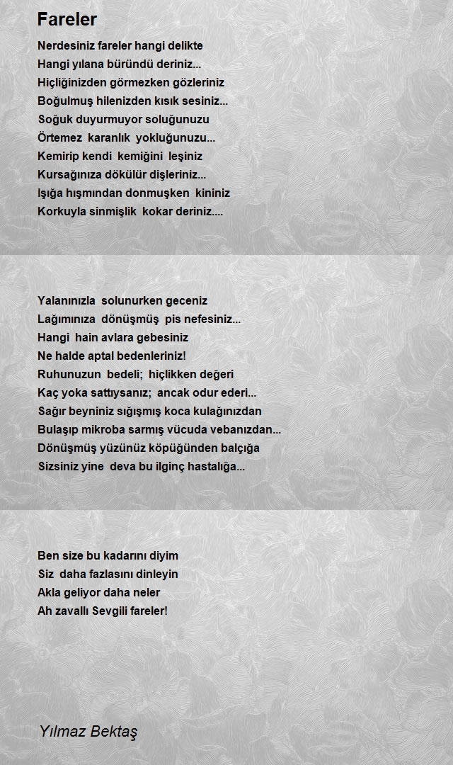 Bendeniz Yılmaz Bektaş