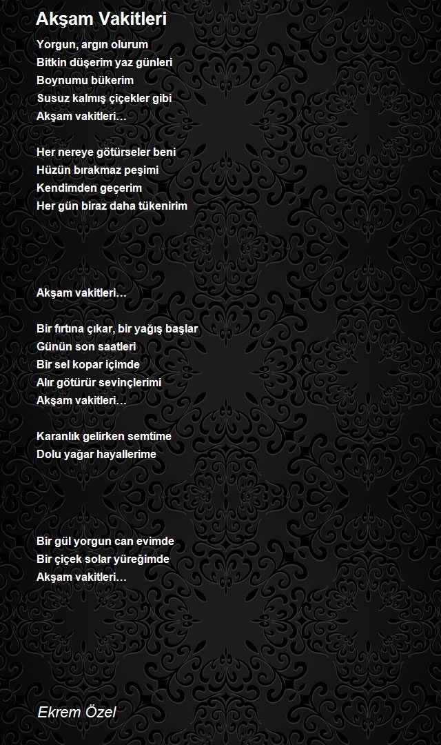 Ekrem Özel