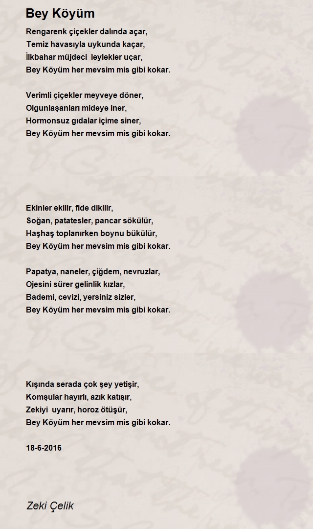 Zeki Çelik