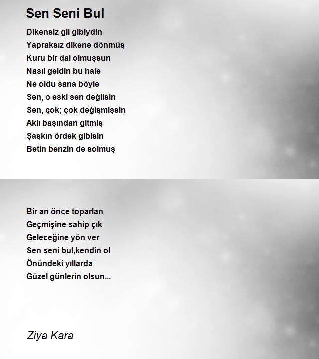 Ziya Kara