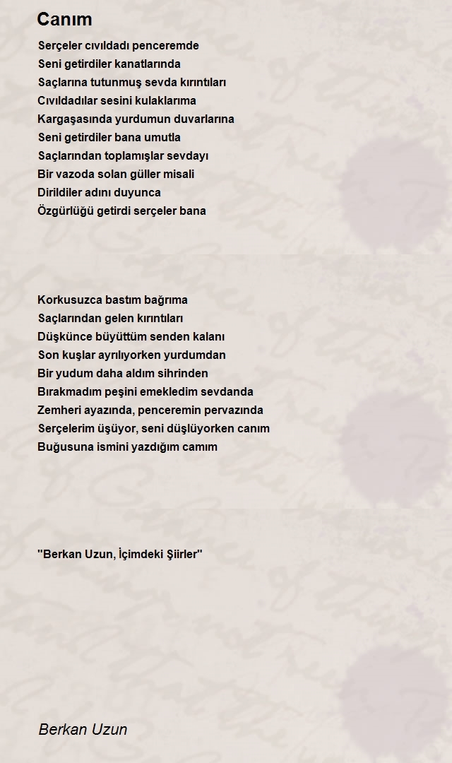 Berkan Uzun