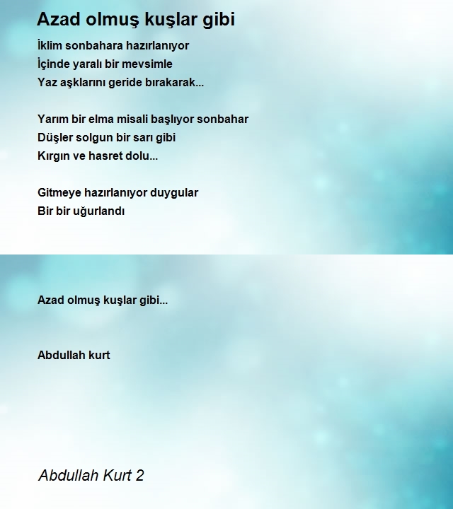 Abdullah Kurt 2