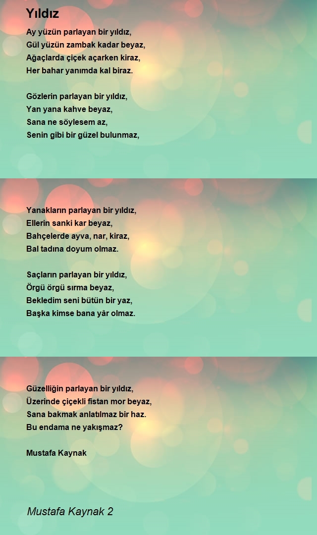 Mustafa Kaynak 2
