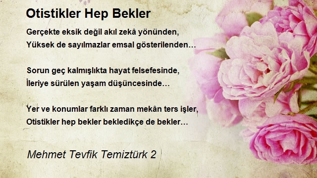Mehmet Tevfik Temiztürk 2
