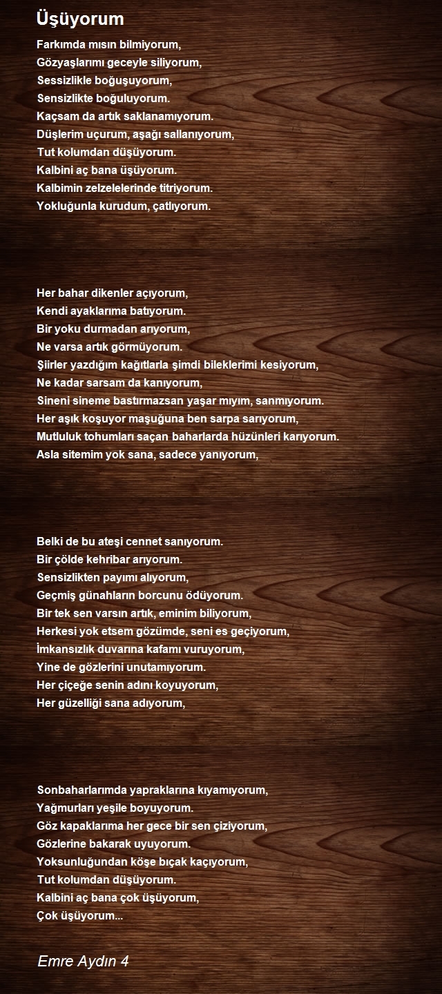 Emre Aydın 4