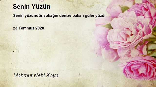Mahmut Nebi Kaya