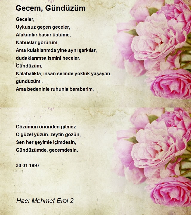 Hacı Mehmet Erol 2