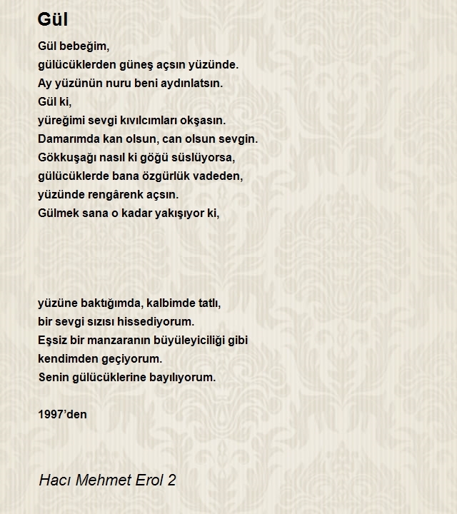 Hacı Mehmet Erol 2
