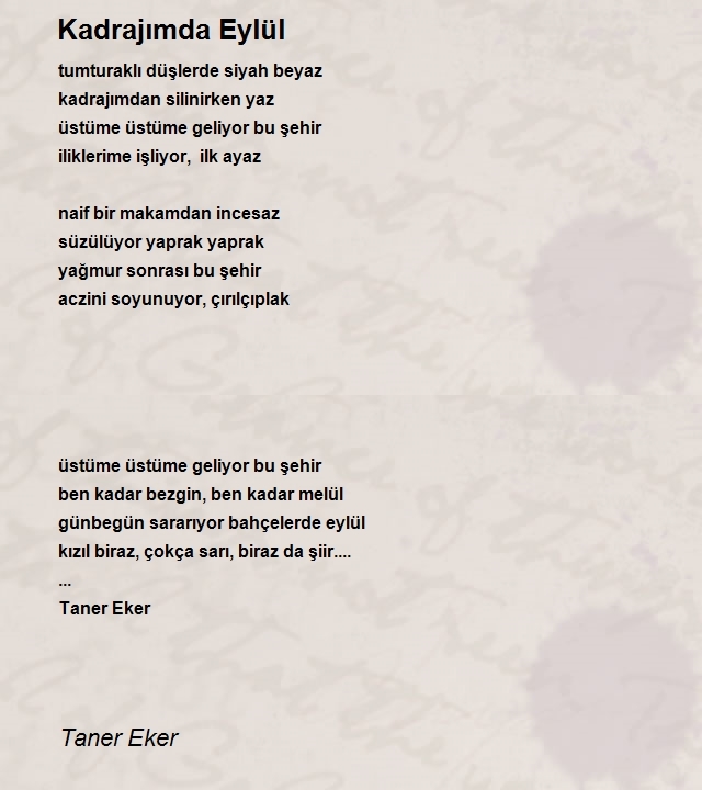 Taner Eker