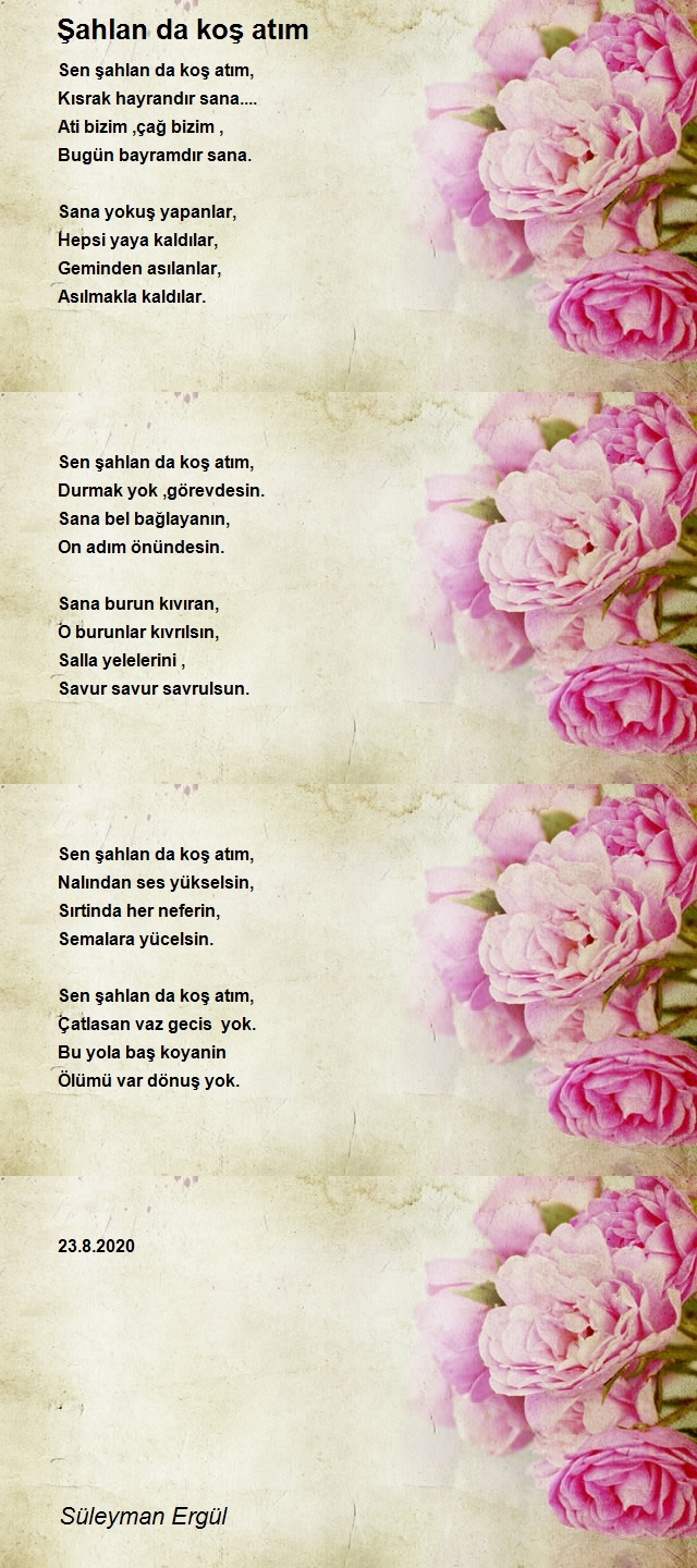 Süleyman Ergül