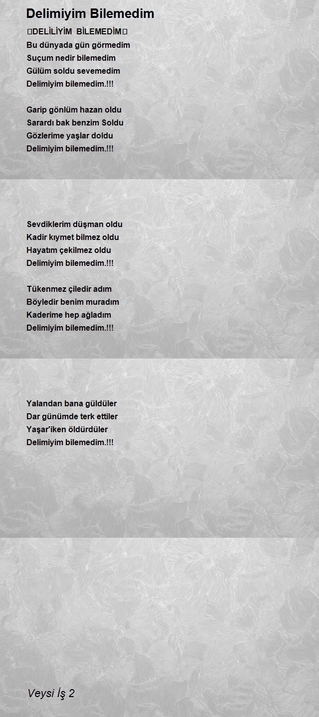 Veysi İş 2
