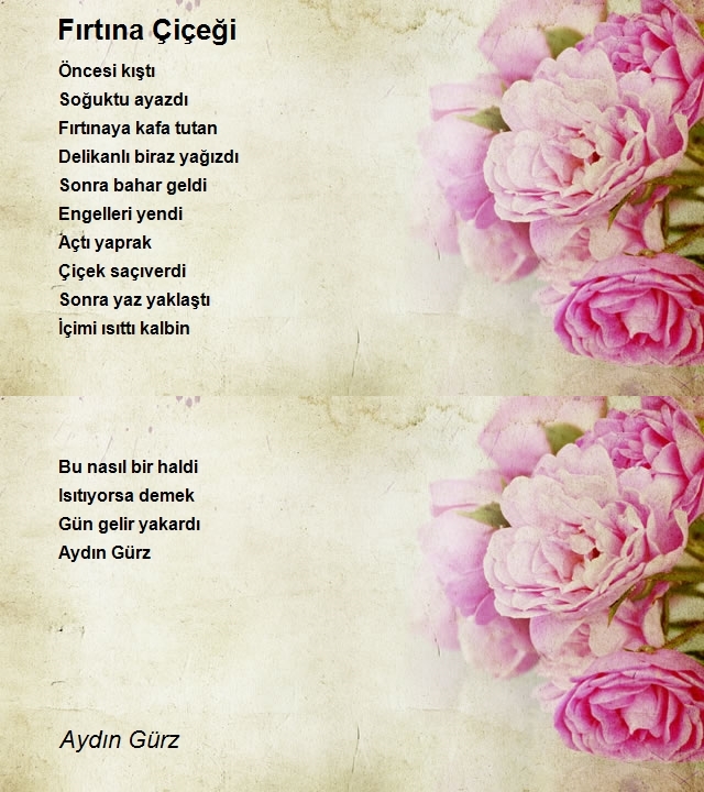 Aydın Gürz